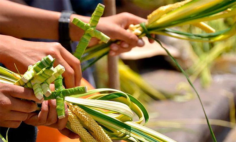 Comenzó la Semana Santa: hoy se celebra el Domingo de Ramos