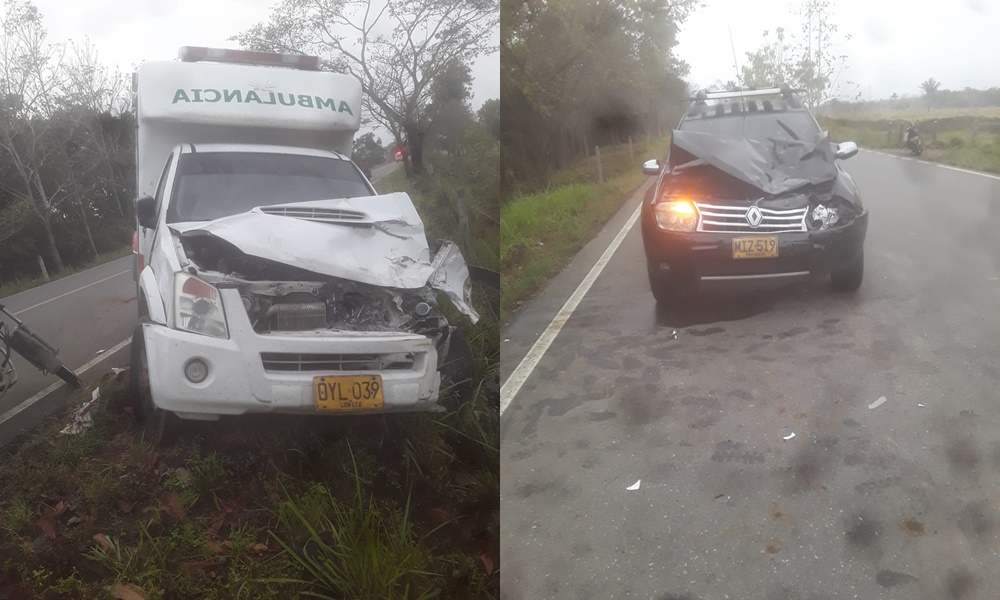 Búfalo ocasionó fuerte accidente de tránsito en la vía Montería – Tierralta