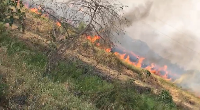 Pánico en el norte de Montería por incendio forestal, amenaza con extenderse