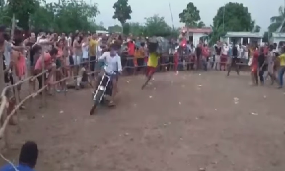 En Cotorra no le temen al Covid, realizan masivos eventos con “toros humanos”