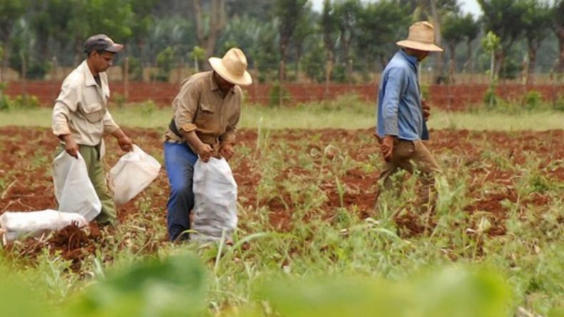 Con 4 mil millones de pesos financiarán proyectos de inversión en el campo monteriano