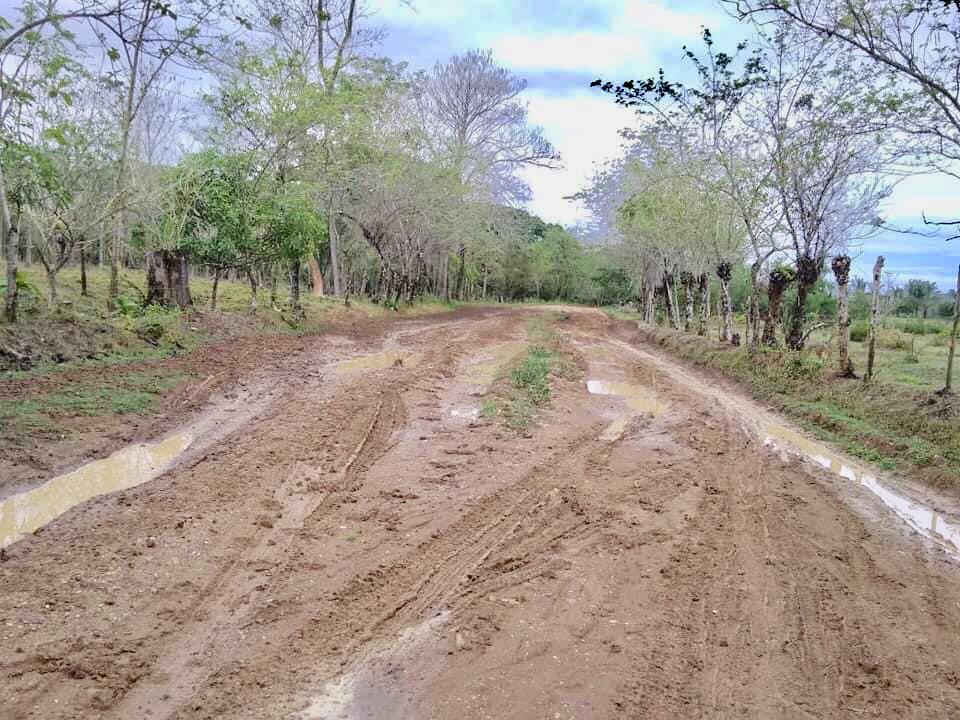 No ha arrancado bien el invierno y ya las vías de la zona rural de Chinú parecen un ‘chiquero’