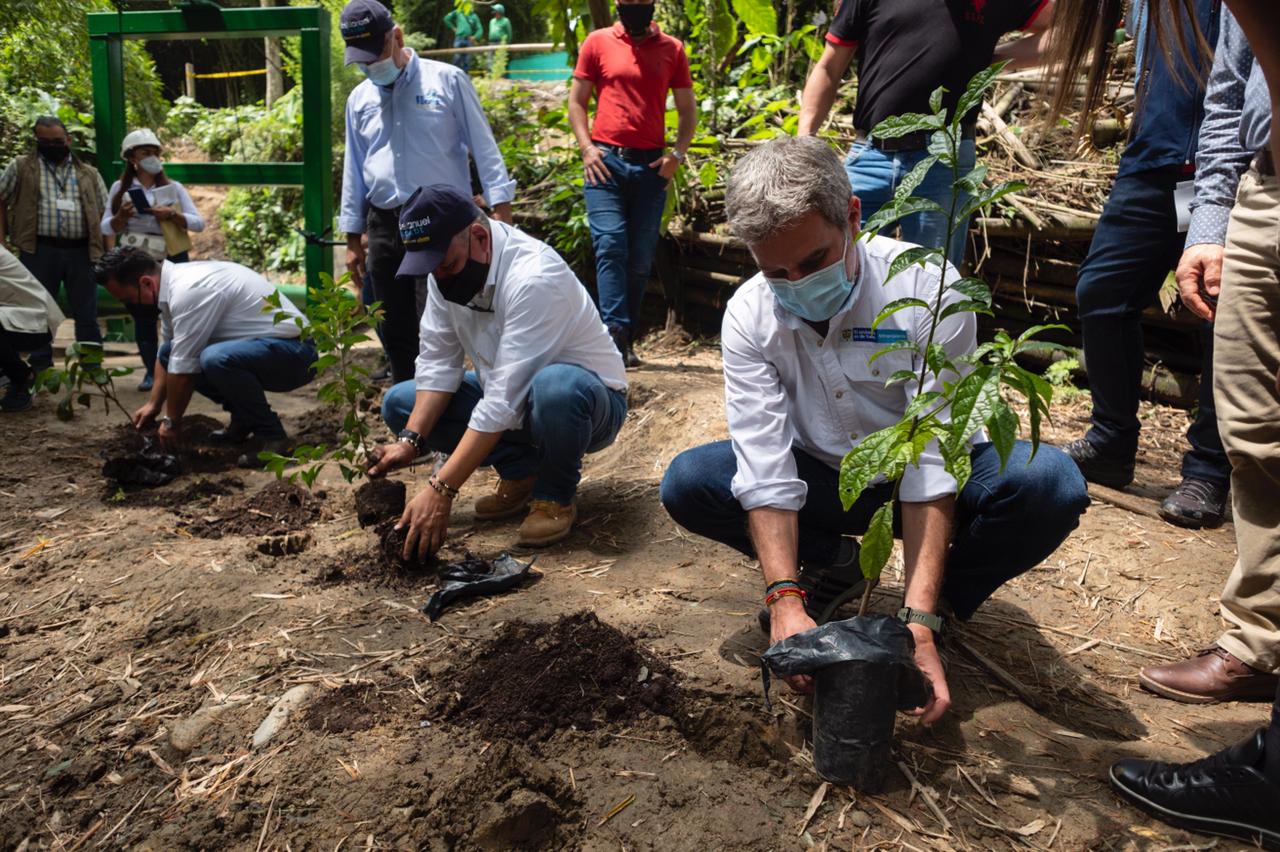 Día de la Tierra: todo listo para la jornada de plantaciones en todo el país