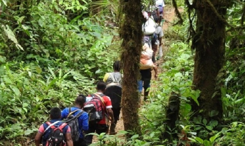 ¡Anuncian desplazamientos! Regresó la violencia al resguardo Embera katio del alto Sinú