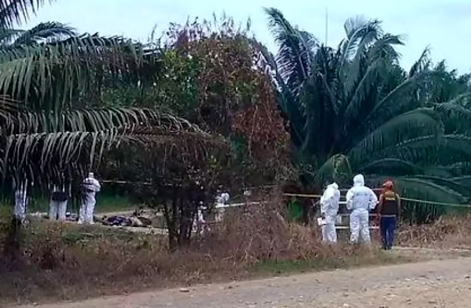 Otra masacre en Colombia, asesinan a seis personas en una taberna de Restrepo, Valle