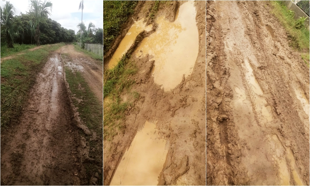 Habitantes del corregimiento Sabana Nueva, de San Pelayo, solicitan el mejoramiento y rehabilitación de la vía