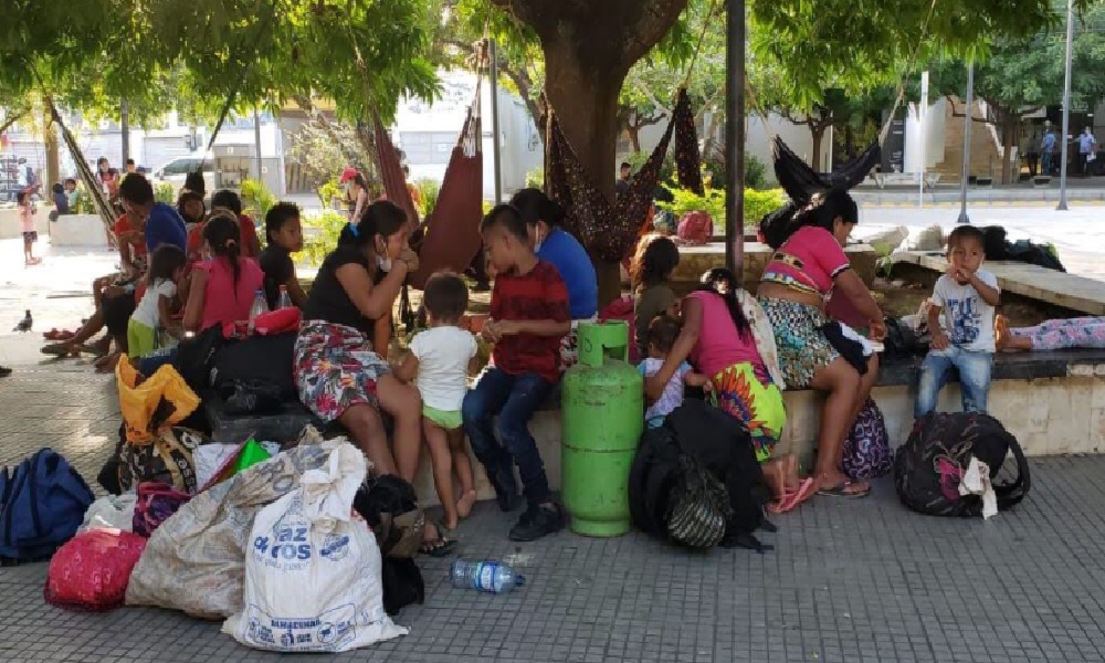 Vuelve y juega, otra menor indígena requiere UCI pediátrica tras caer de un árbol