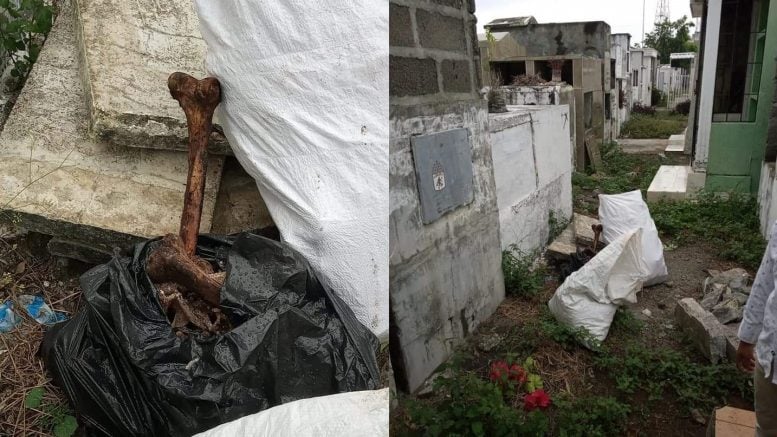 Indignante, profanaron tumbas en el cementerio de San Pelayo