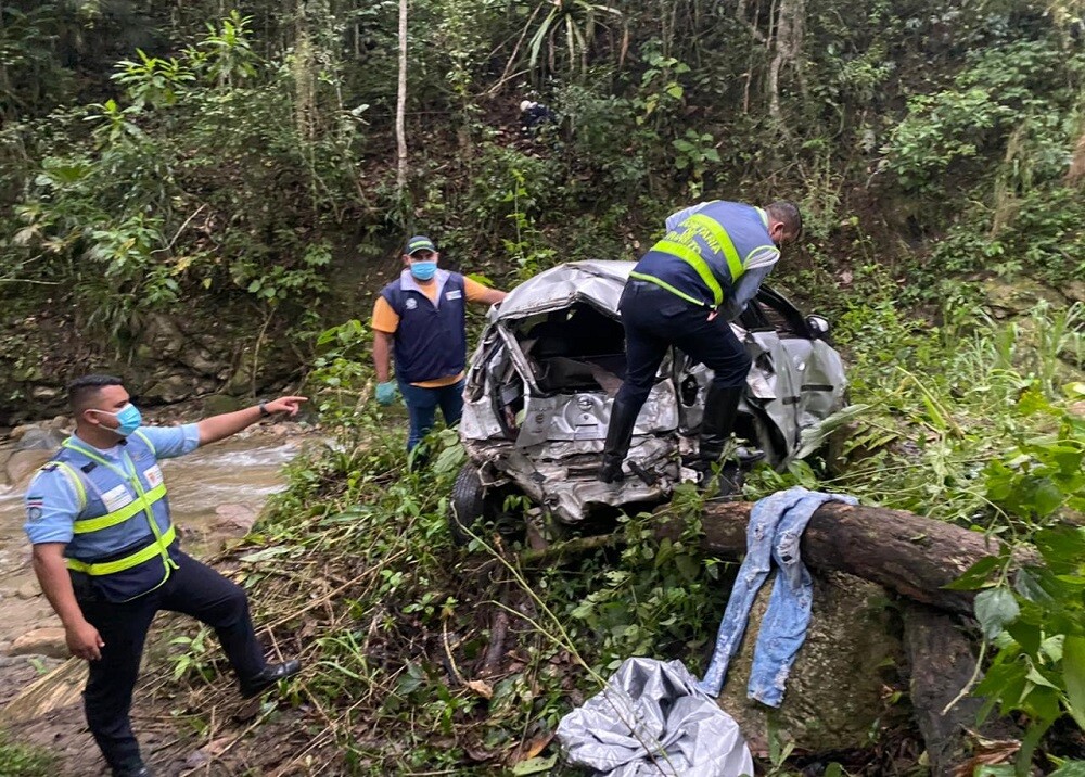 Conductor murió tras rodar por un abismo