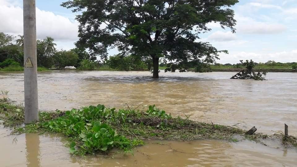 Crecen probabilidades de configurarse el fenómeno de ‘La Niña’, lluvias están en su fase inicial en Córdoba