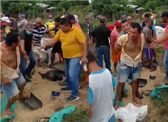 Tractomula cargada de arroz se volcó en San Pelayo y dos hombres se fueron a los puños por un bulto