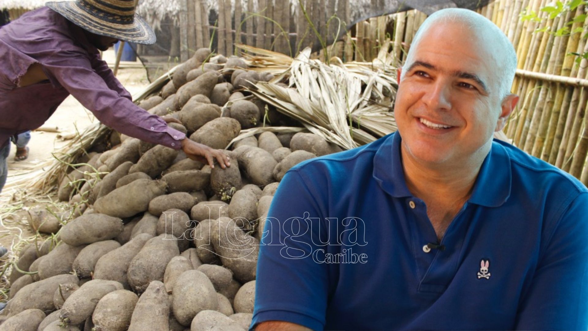 Se puso la 10, empresario Christian Daes compró 100 toneladas de ñame a productores de Moñitos