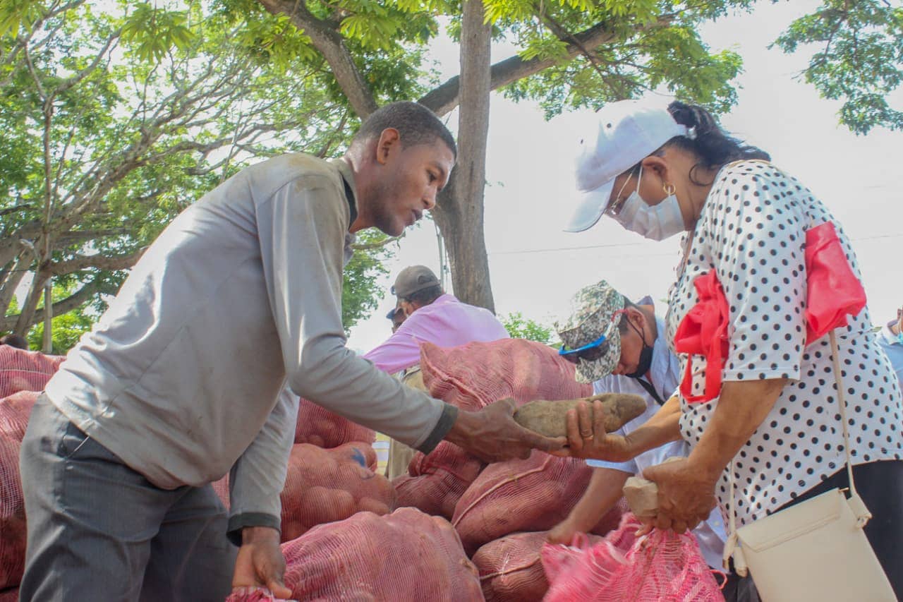 Habrá ‘ñametón’ en Montería para vender toneladas de ñame represadas en Moñitos