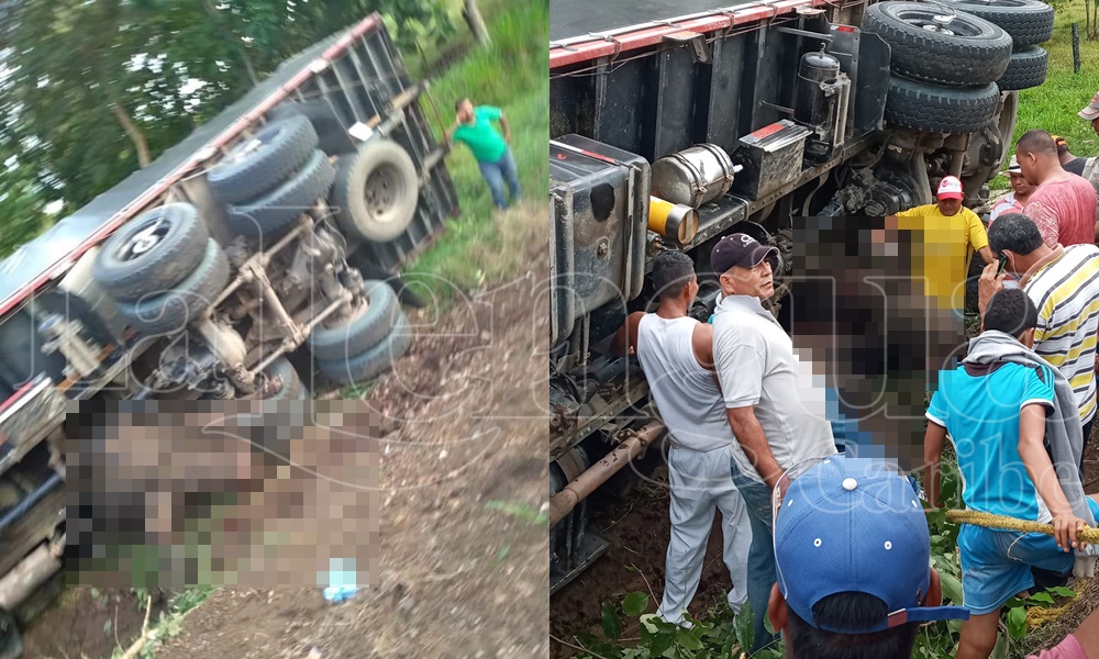 Accidente de tránsito en la vía Montería – Tierralta dejó 11 búfalos muertos, comunidad descuartizó los animales