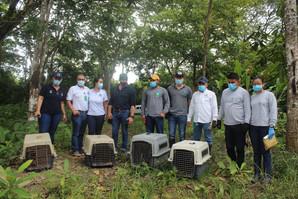 Nuevo hábitat para rehabilitación de primates en el departamento del Córdoba