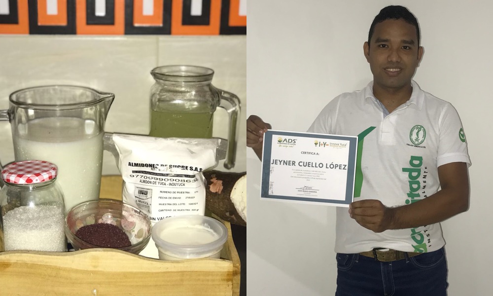 Estudiante de Unicor elaboró bebida láctea con lactosuero y almidón de yuca, saborizada con flor de Jamaica