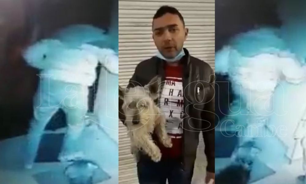 En video: cruel y despiadado hombre levantó a patadas a un perro
