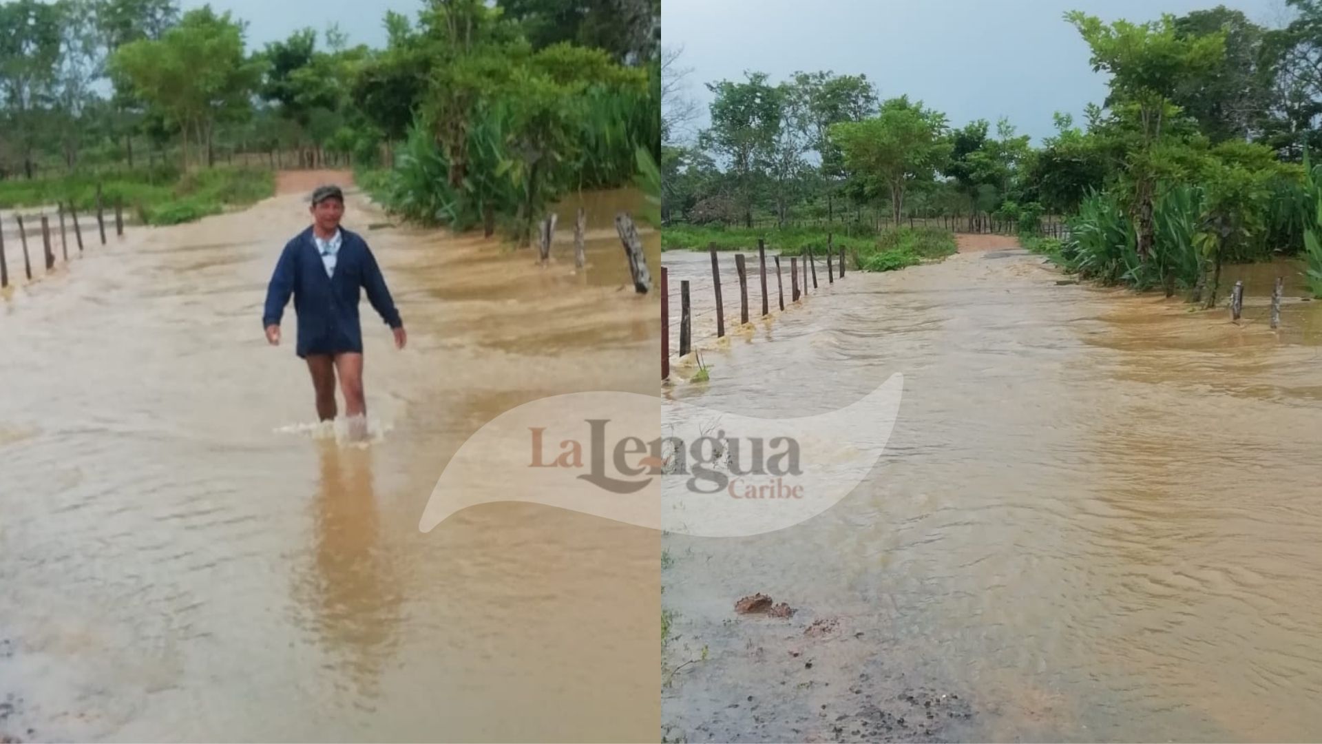 Vuelve y juega, arroyo Carolina se desbordó e inundó vía Planeta Rica – La Fortuna