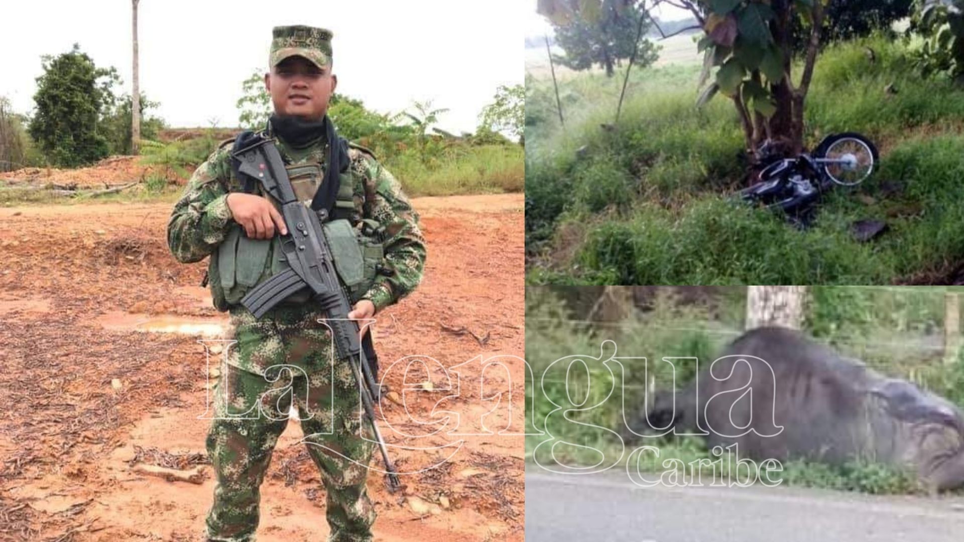 Accidente acabó con la vida de cabo del ejército en Tierralta, un búfalo se le atravesó en la vía