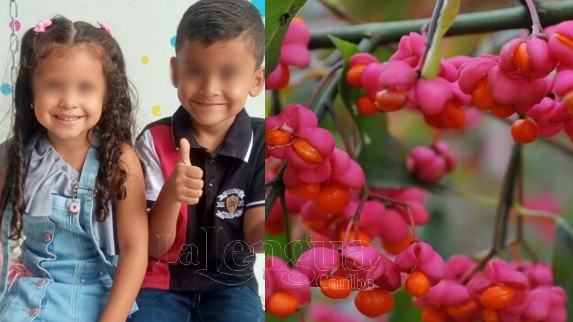 Tenga cuidado, dos niños murieron tras ingerir fruto tóxico en el patio de su casa
