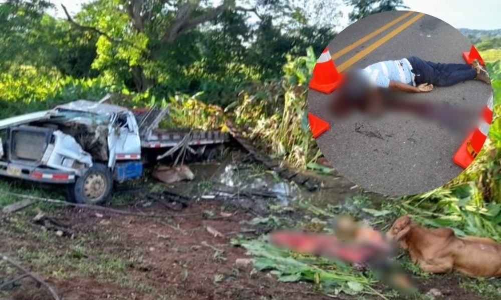 Camión cargado de ganado se estrelló en la vía Montería – Arboletes y motociclista falleció tras chocar con una de las reses