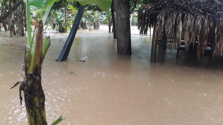 Vereda Bangaño de Montería sufre los estragos de las inundaciones