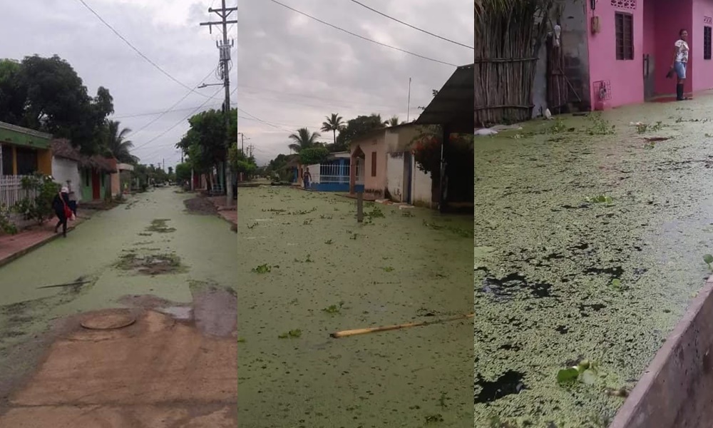 En Purísima, varias calles están inundadas por desbordamiento de ciénaga