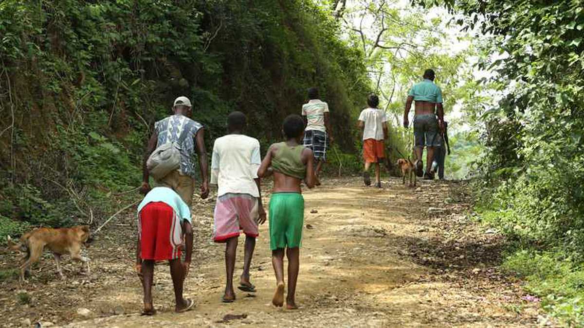 Vuelve y juega, desplazamiento de campesinos en Puerto Libertador por enfrentamientos entre grupos ilegales