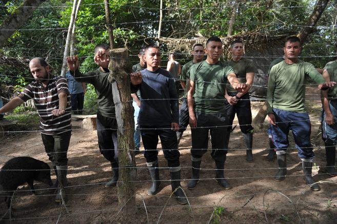 Revelan que las Farc habrían sometido a secuestrados a trabajos forzados