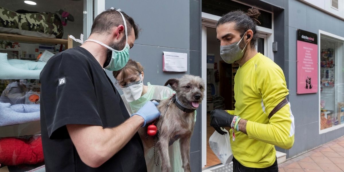 Bogotá tendrá el primer hospital público para mascotas