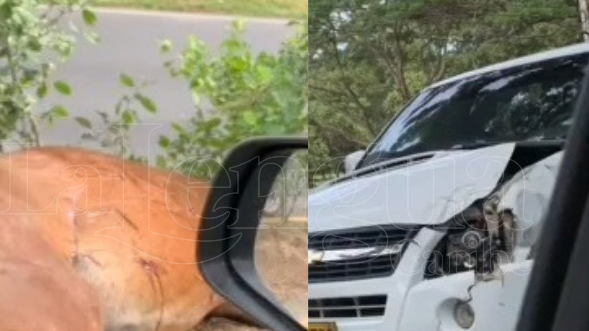 Camioneta chocó contra un caballo en la vía Mocarí – Los Garzones