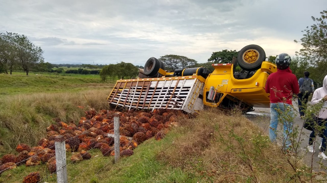 Camión cargado de corozo se volcó en la vía Montería – Tierralta