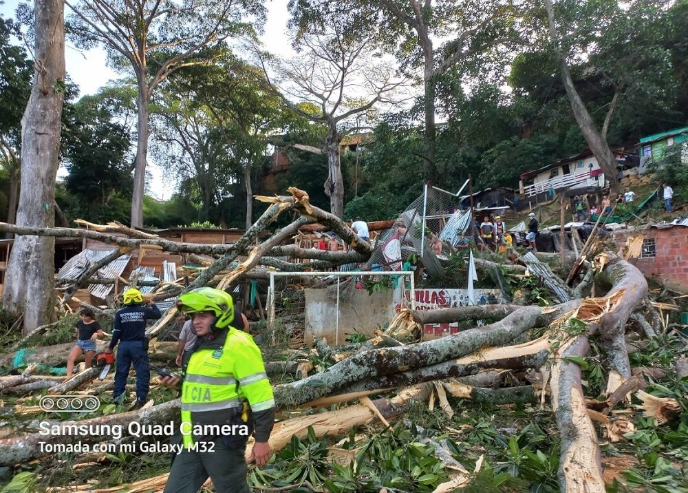 Dos personas perdieron la vida luego que un pesado árbol cayera sobre varias casas