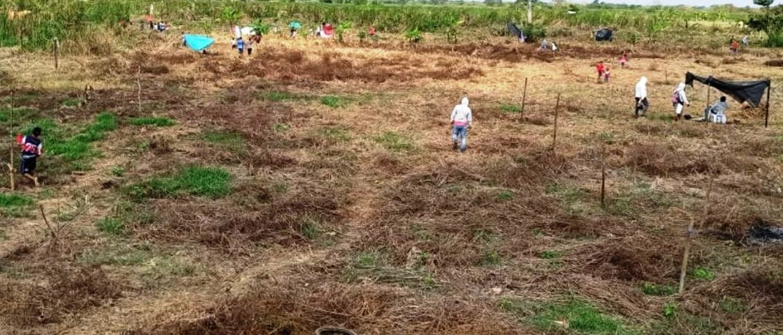 Cerca de 500 personas invadieron lotes aledaños al humedal Berlín en Montería