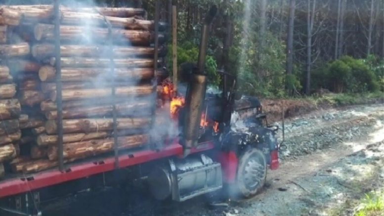 Disidencias de las Farc habrían asesinado a camionero en el Cauca