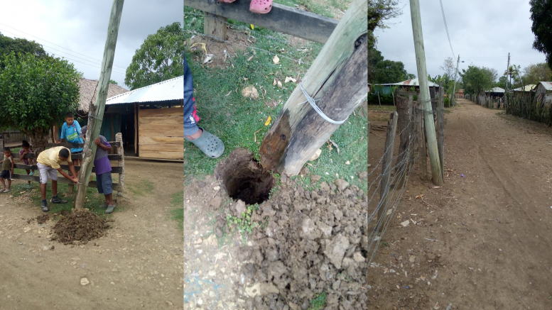 Más de 20 postes de madera en zona rural de Montería están a punto de colapsar