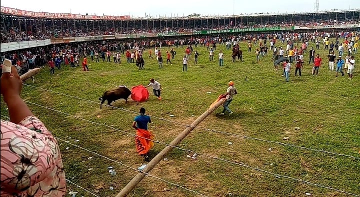 Banderillero murió tras ser corneado por un toro en las corralejas de Cotorra