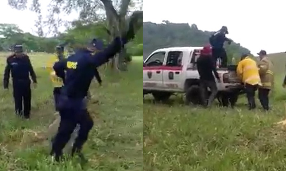 Campesino fue atacado por una babilla en zona rural de Tierralta