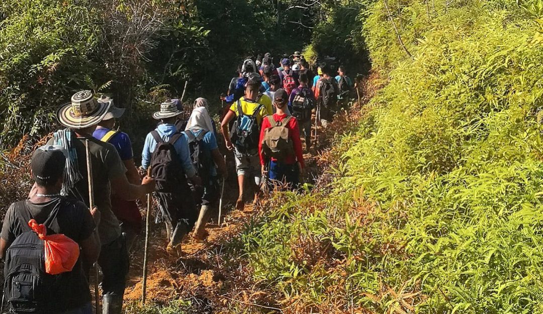 Campesinos y cocaleros del sur de Córdoba logran acuerdo con el gobierno