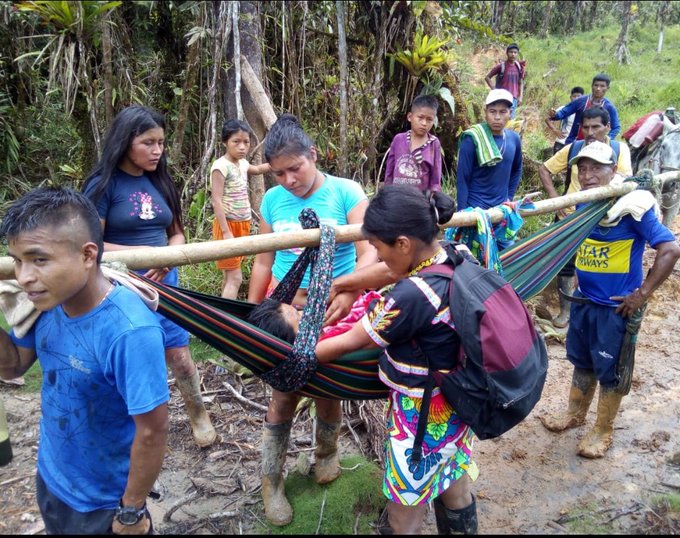 Docente indígena falleció tras ser mordida por una culebra cuando iba a votar