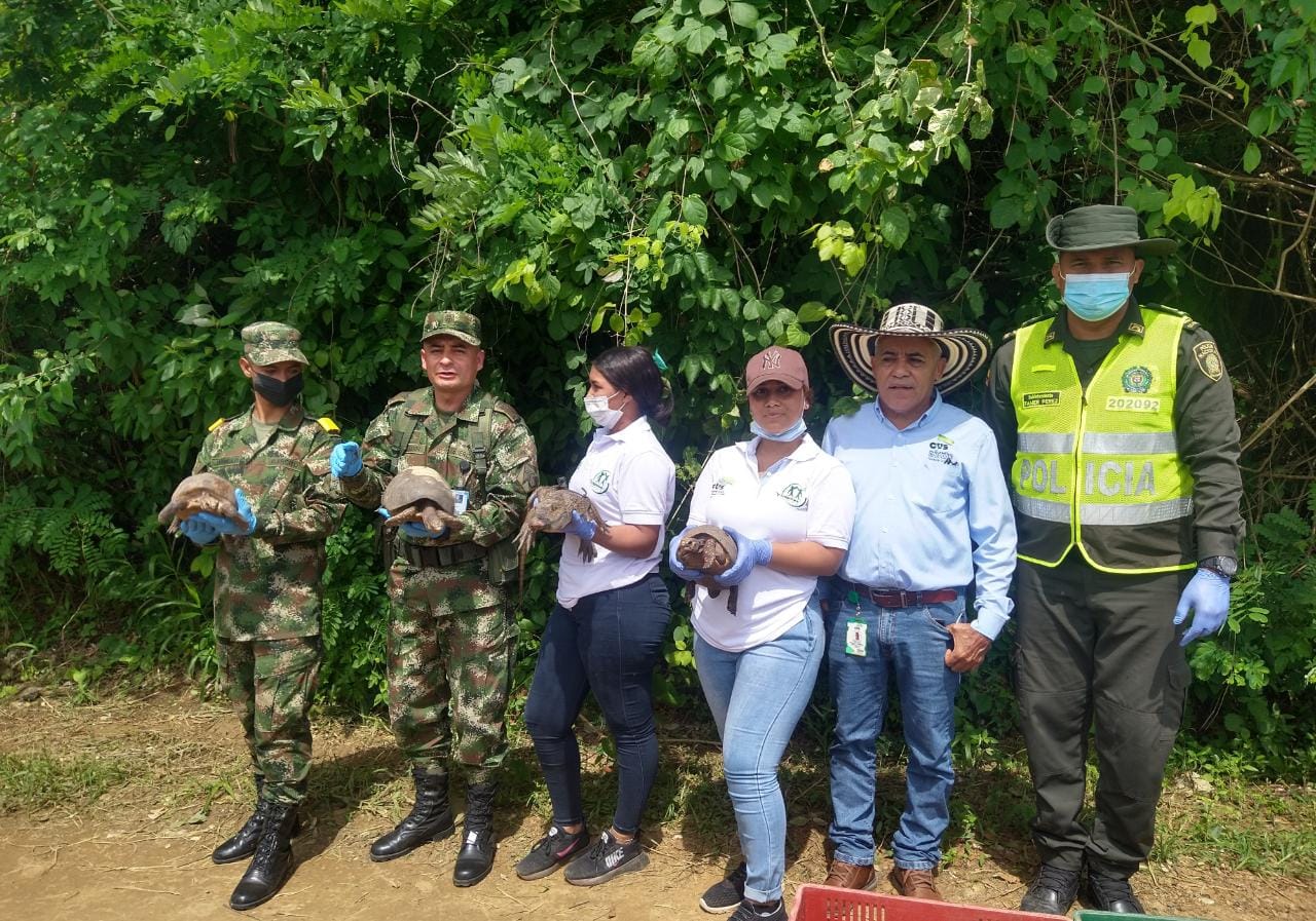 Más de 60 especies de fauna silvestre fueron liberados en Sierra Chiquita