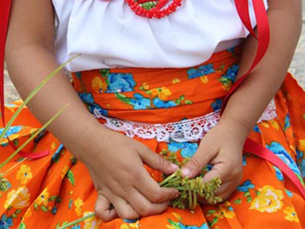 Niña indígena habría sido abusada sexualmente en un resguardo de El Bagre, Antioquia