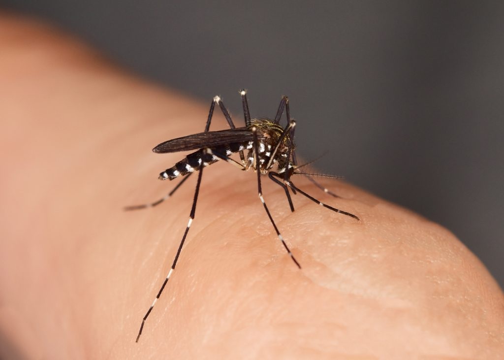 Atentos en zona rural de Montería, adelantan acciones para mitigar el dengue en San Anterito