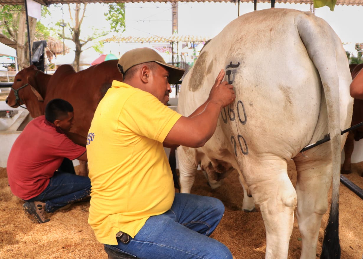 Bienvenidos a Montería, destino turístico y biodiverso preferido por nacionales y extranjeros