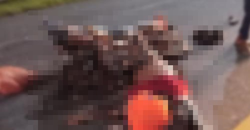 Sigue la racha de accidentes, motociclista murió tras ser atropellado por ‘carro fantasma’ en Planeta Rica
