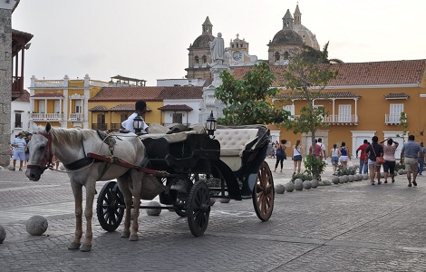 Proponen proyecto de ley para prohibir vehículos de tracción animal en Colombia