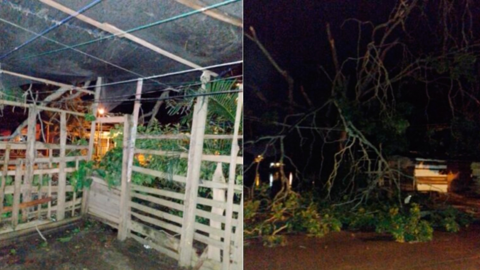 Rama de un árbol cayó encima de una vivienda en la Margen Izquierda de Montería