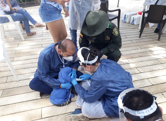 El Covid sí se transmite de humano a mascotas, Unicórdoba demuestra los primeros dos casos en Colombia