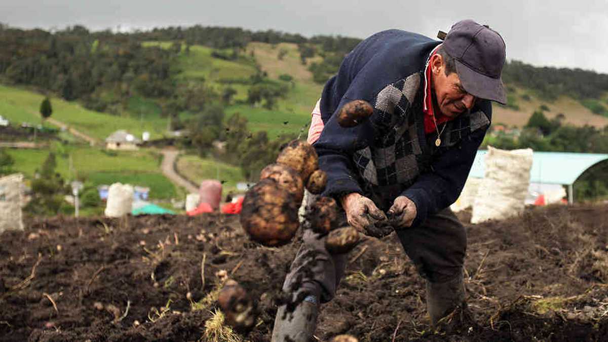 Gustavo Petro dijo que acompañará y protegerá a dueños de tierras que las coloquen a producir