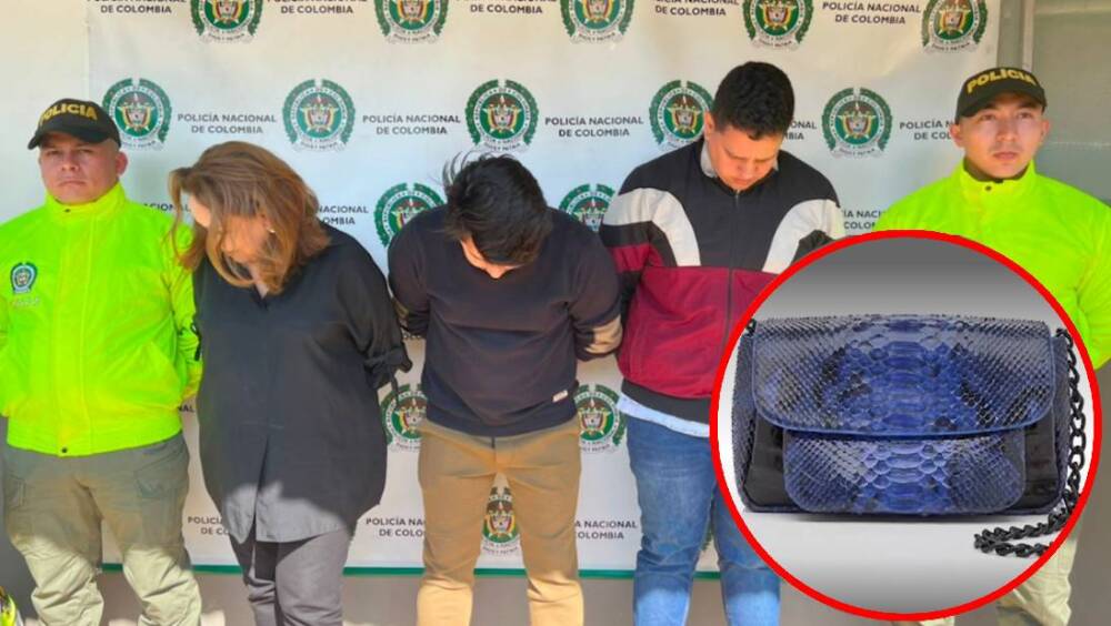 Capturan a empresaria colombiana por enviar a Estados Unidos artículos de marroquinería con pieles de animales en peligro de extinción